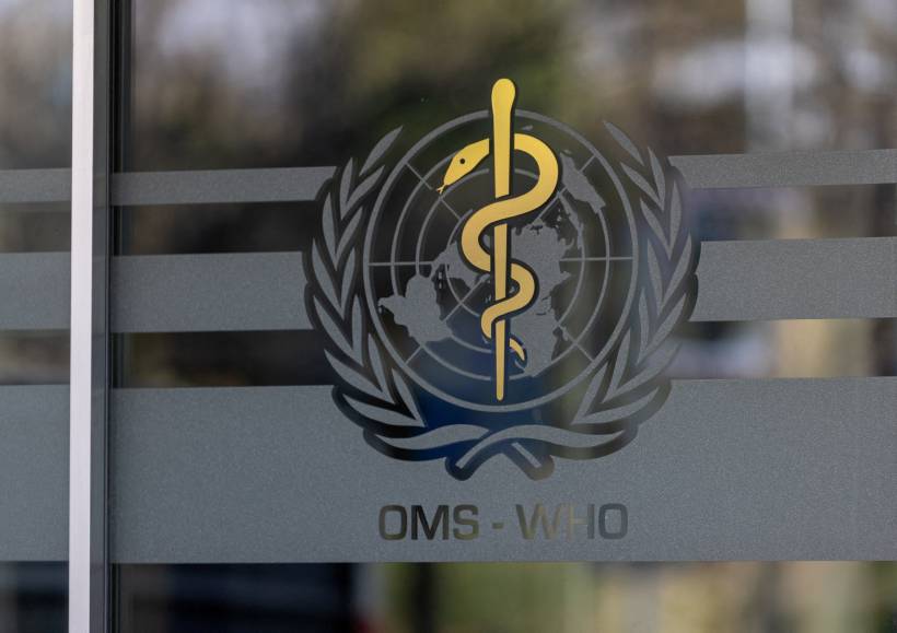 New York City Joins WHO Health Network After US Withdrawal