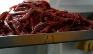 vai alla homepage de Il Sole 24 Ore