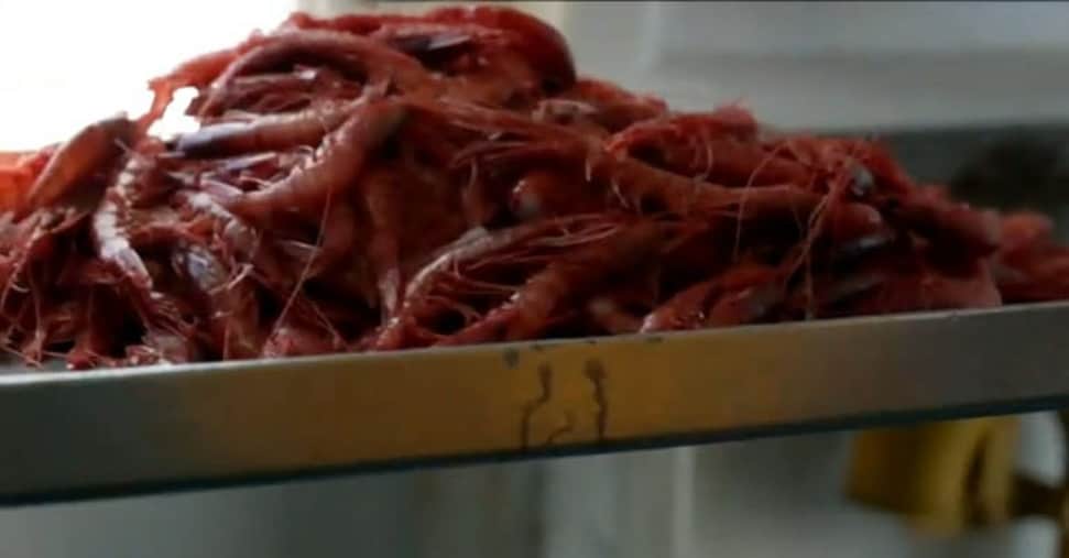 vai alla homepage de Il Sole 24 Ore