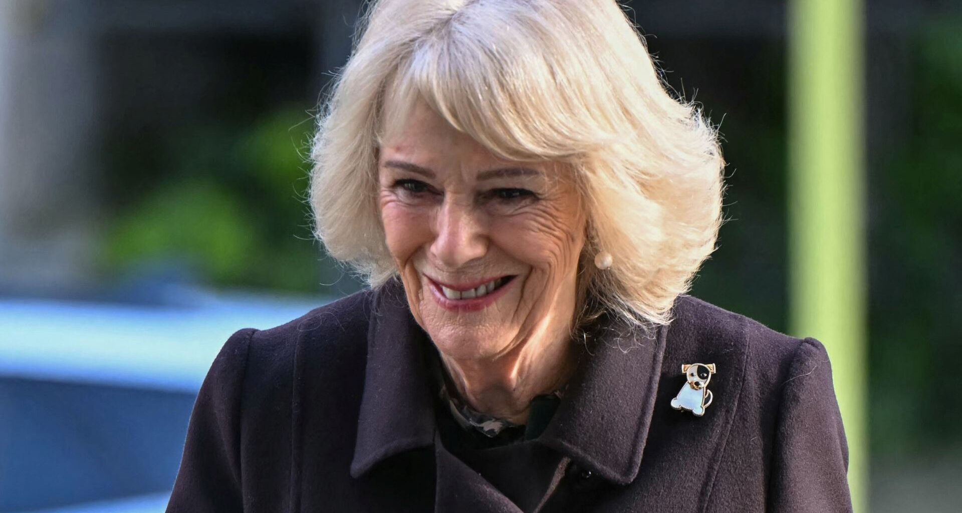Queen Camilla wears a Jack Russell terrier brooch