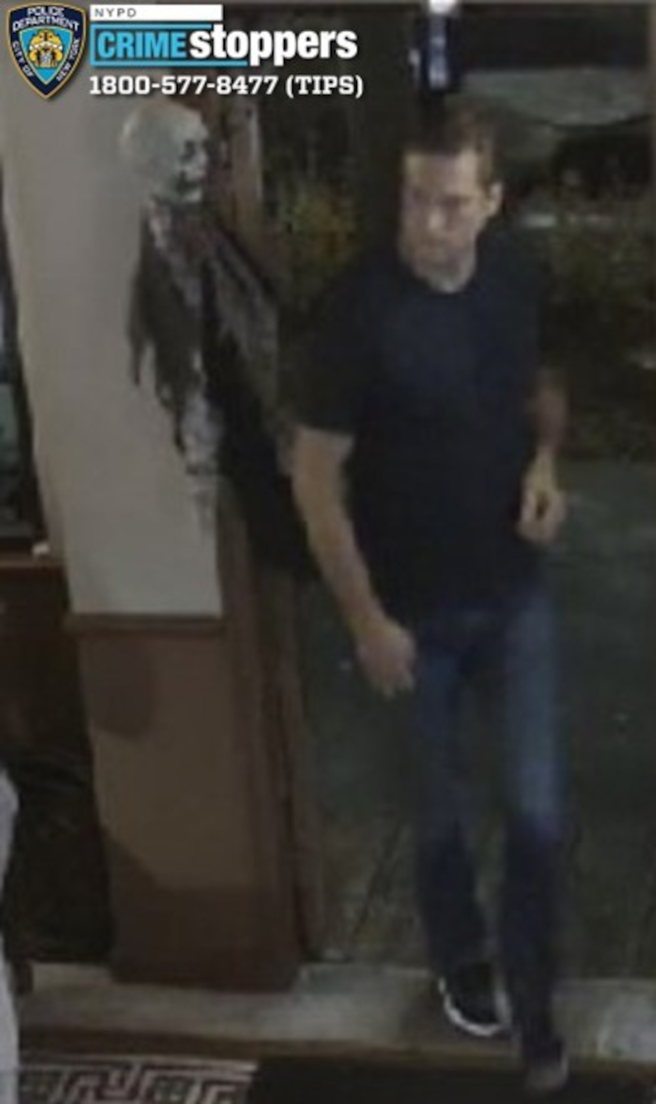 NYPD seeks tips in fatal hit-and-run crash