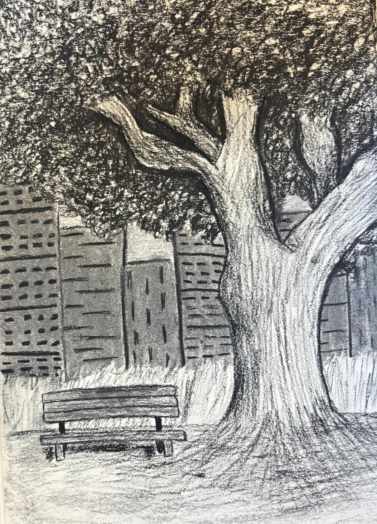 Pencil sketch of a large tree and a bench in the foreground, with tall buildings and grass depicted in the background.