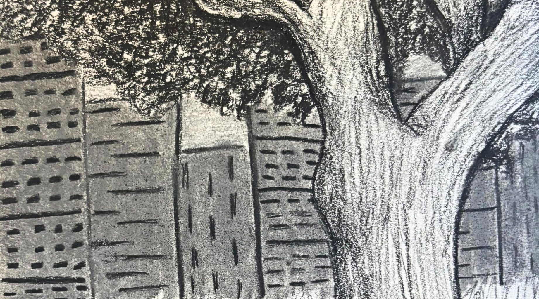 Young Writers Project: ‘Dear New York City'