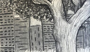 Young Writers Project: ‘Dear New York City'