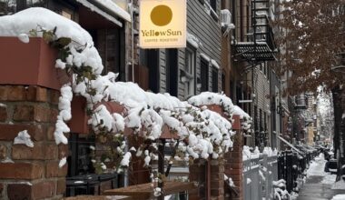 Yellow Sun Shines Light On Single-Origin Coffees in Brooklyn