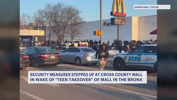 News 12 | Westchester | Westchester police stay vigilant after teen takeover at Bronx's Bay Plaza Mall