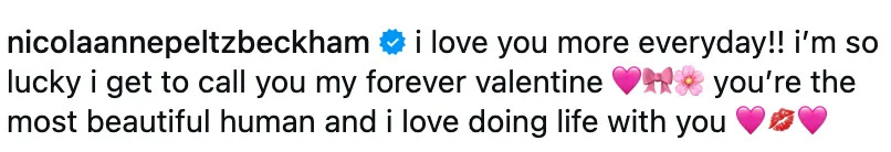   Instagram @nicolaannepeltzbeckham / Via instagram.com