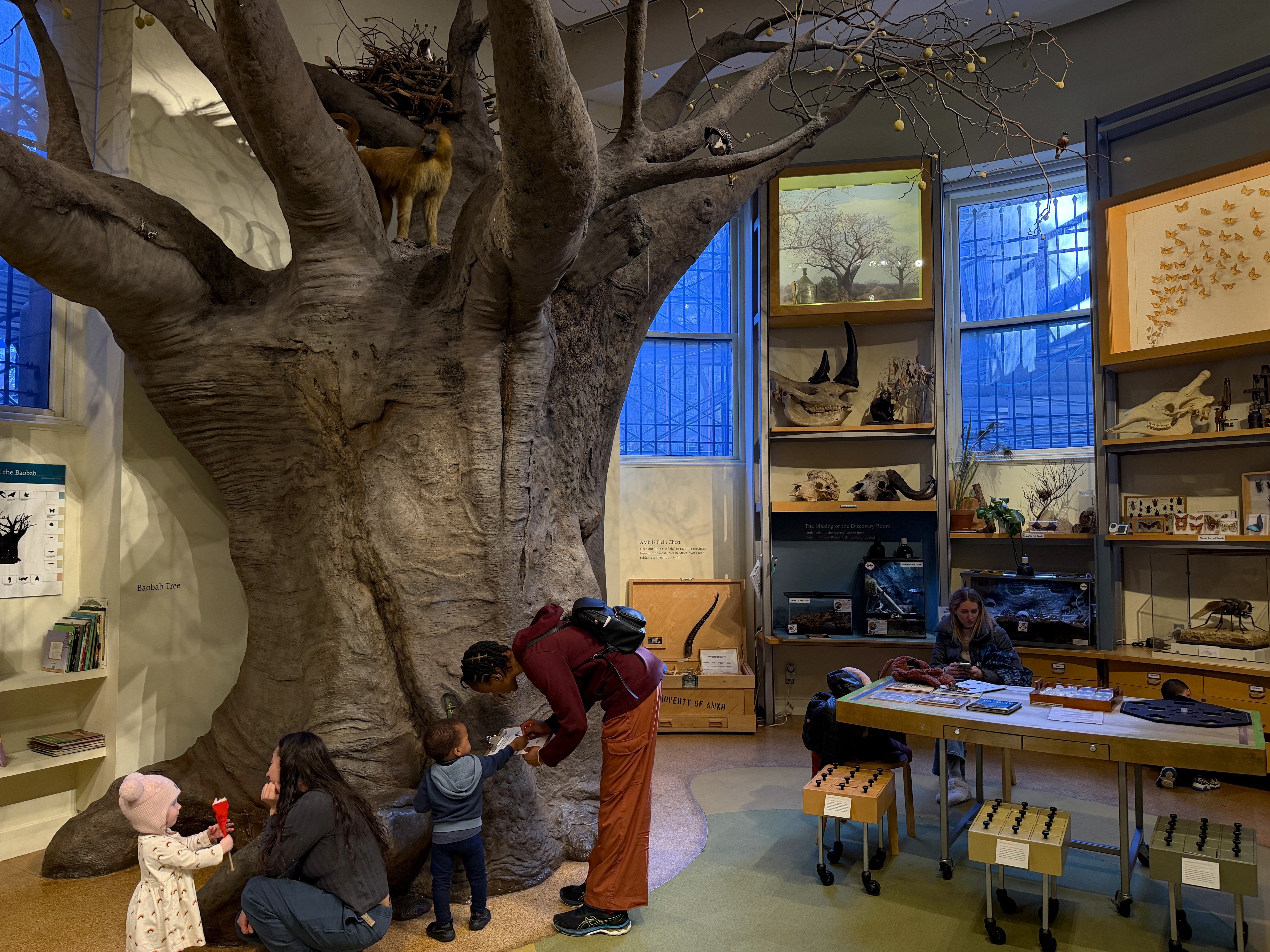 A couple pairs of toddlers and adults in a room with a large fake tree, shelves with animal skulls and other artifacts behind them.