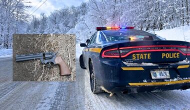 Man With Pellet Gun Shot by State Police in Ulster County, NY
