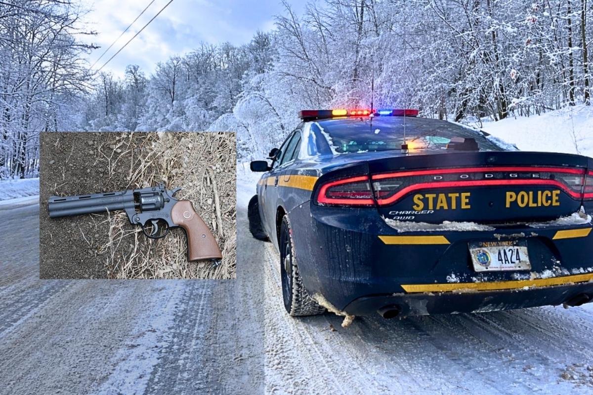Man With Pellet Gun Shot by State Police in Ulster County, NY