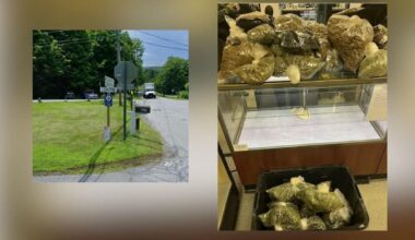 New York Shuts Down Illegal Cannabis Shop In Dutchess County, NY