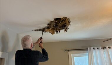 Hidden and Expensive Damage In Many New York State Homes