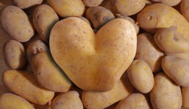 Manhattan Potato Festival 2026 Cookbook