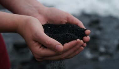 What Is Human Composting in New York?