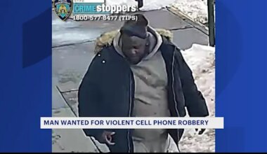 News 12 | Brooklyn | Robber punches woman attempting to help victim in Clinton Hill