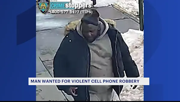 News 12 | Brooklyn | Robber punches woman attempting to help victim in Clinton Hill