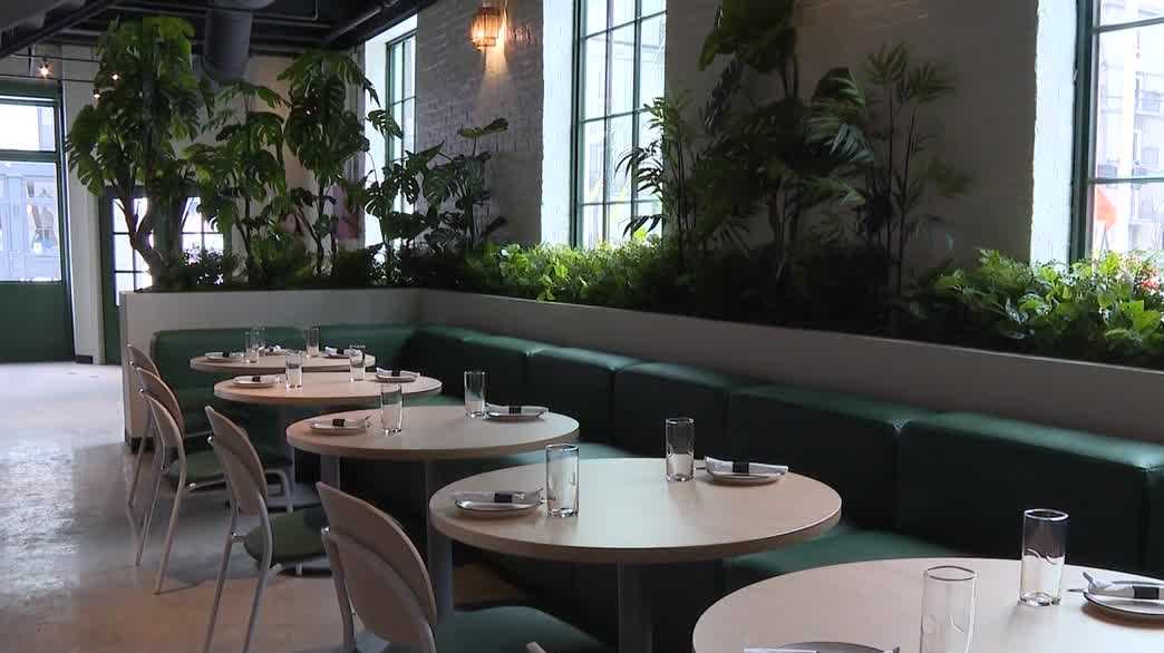 New York-style pizzeria coming to NuLu