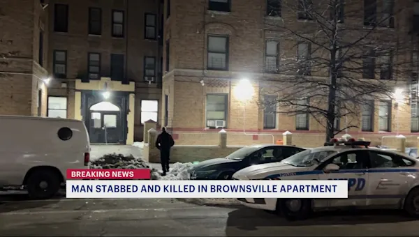 News 12 | Brooklyn | 2 people on the run after Bronx man fatally stabbed in Brownsville