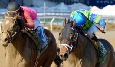 New York-bred Bold Journey up in time in G3 Tom Fool