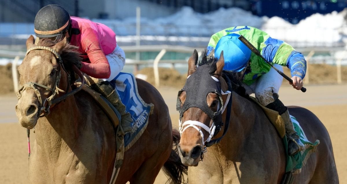 New York-bred Bold Journey up in time in G3 Tom Fool