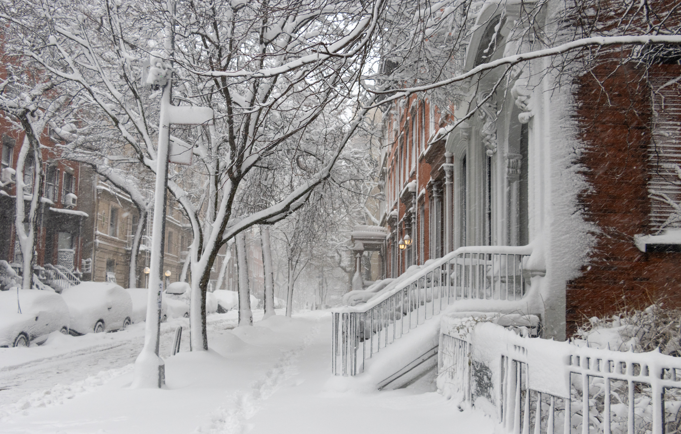 snowy covered stoops and trees