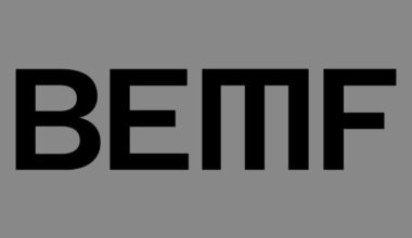 Brooklyn Electronic Music Festival logo