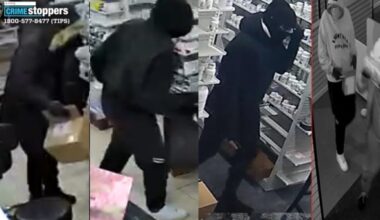 Burglars target Douglaston drug store, steal a cheap baseball bat after string of December heists: NYPD – QNS