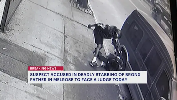 News 12 | The Bronx