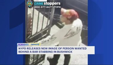 News 12 | Brooklyn | Man on the run for stabbing in Bushwick