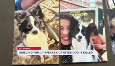 News 12 | New Jersey