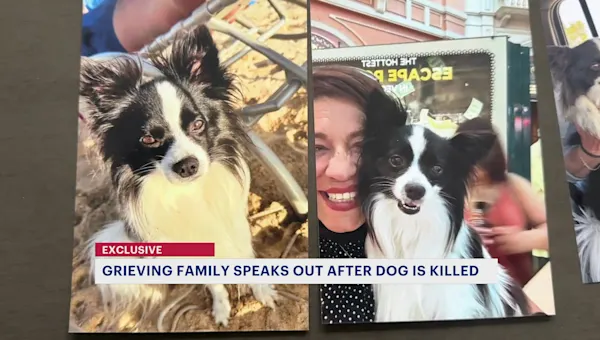 News 12 | New Jersey