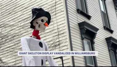 News 12 | Brooklyn | CAUGHT ON CAMERA: Williamsburg’s beloved holiday skeleton vandalized