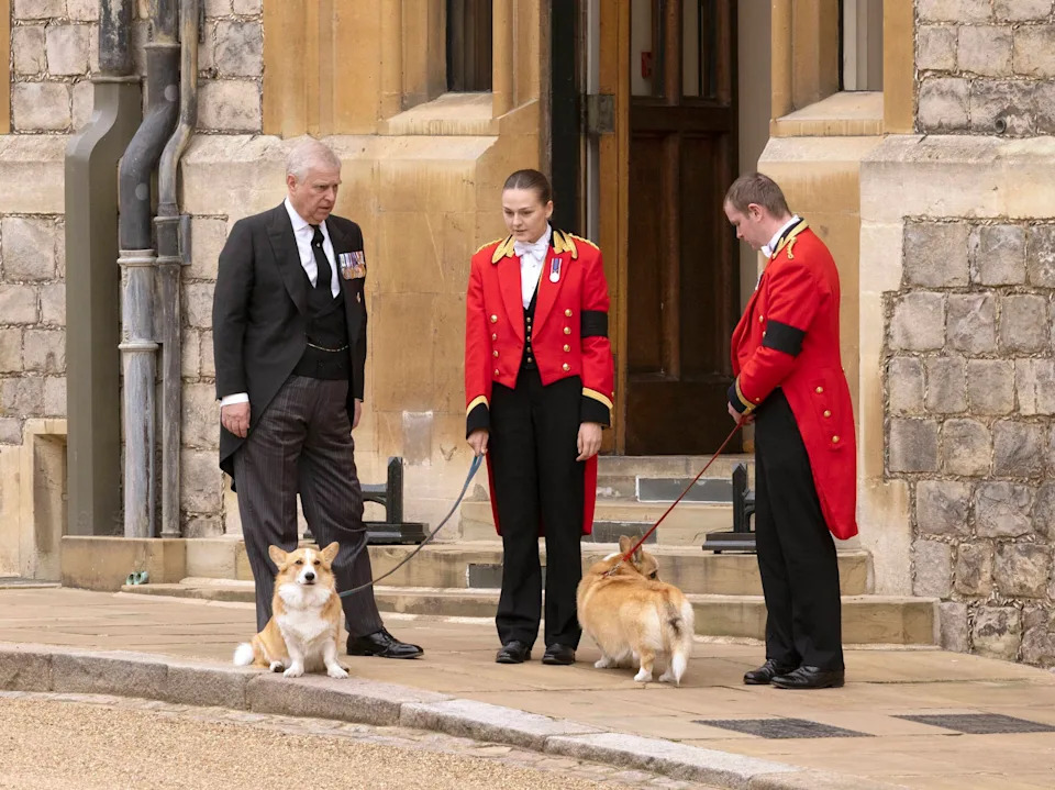 <span class="wp-caption-text">Mirrorpix / MEGA</span>