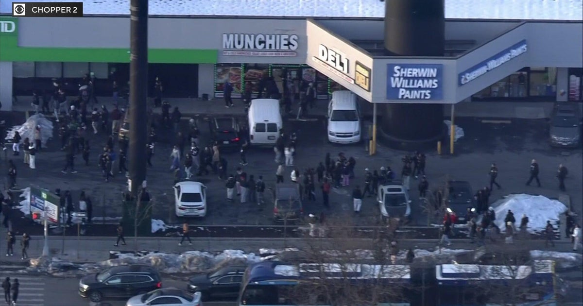 Bay Plaza Mall "takeover" in the Bronx ends with over a dozen teens in custody