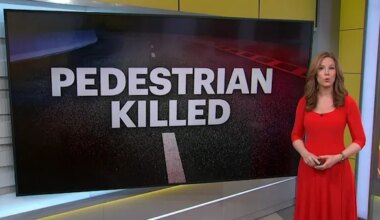 News 12 | Westchester | Elmsford man accused of fatally hitting pedestrian in The Bronx