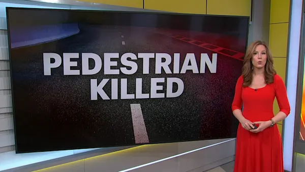News 12 | Westchester | Elmsford man accused of fatally hitting pedestrian in The Bronx