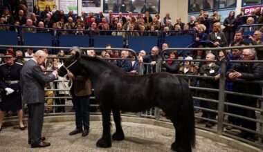 King Charles meets relative of late Queen’s beloved pony