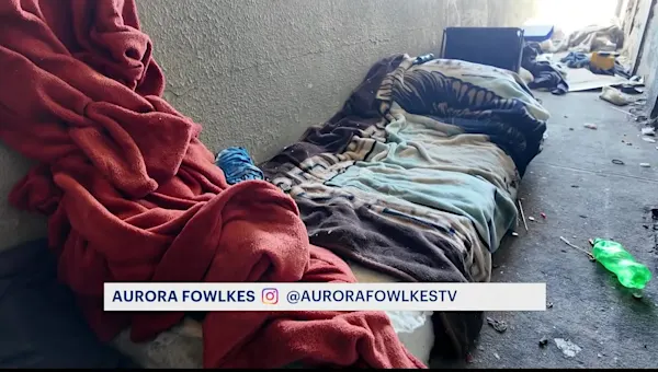 News 12 | Brooklyn | Residents say homeless are 'being left to rot' in Crown Heights encampment hotspot