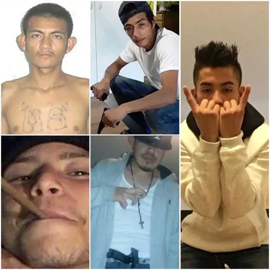 Since 2003, hundreds of MS-13 gang members have been convicted on federal felony charges in the Eastern District of New York. 