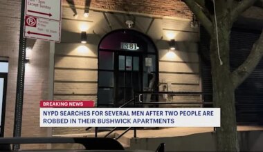 News 12 | Brooklyn | 2 apartments hit in overnight Bushwick break-ins; 1 man hurt, dog removed