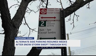News 12 | Brooklyn | Alternate side parking resumes in Brooklyn, despite snowbanks blocking parking spots