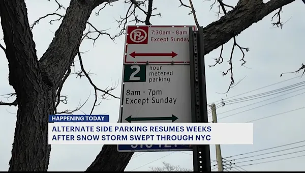 News 12 | Brooklyn | Alternate side parking resumes in Brooklyn, despite snowbanks blocking parking spots
