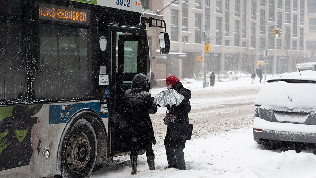 A Bad Case for Free Buses