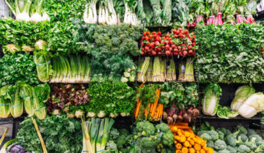 Too many Bronx SNAP users are leaving food money on the table – Bronx Times