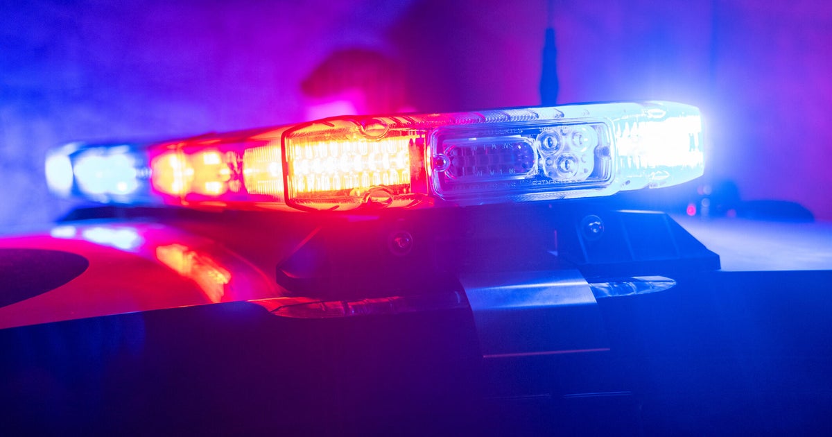 Woman's remains found in basement of Brooklyn building, police say