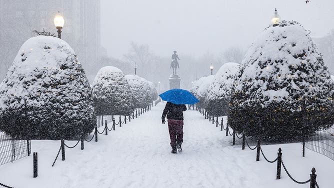 BOSTON, MASSACHUSETTS - JANUARY 25: A person walks through Boston Public Garden during heavy snow on January 25, 2026 in Boston, Massachusetts.