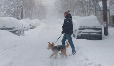 How to keep pets safe during blizzard across New York, New Jersey area