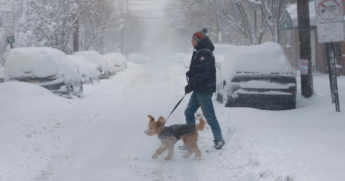 How to keep pets safe during blizzard across New York, New Jersey area