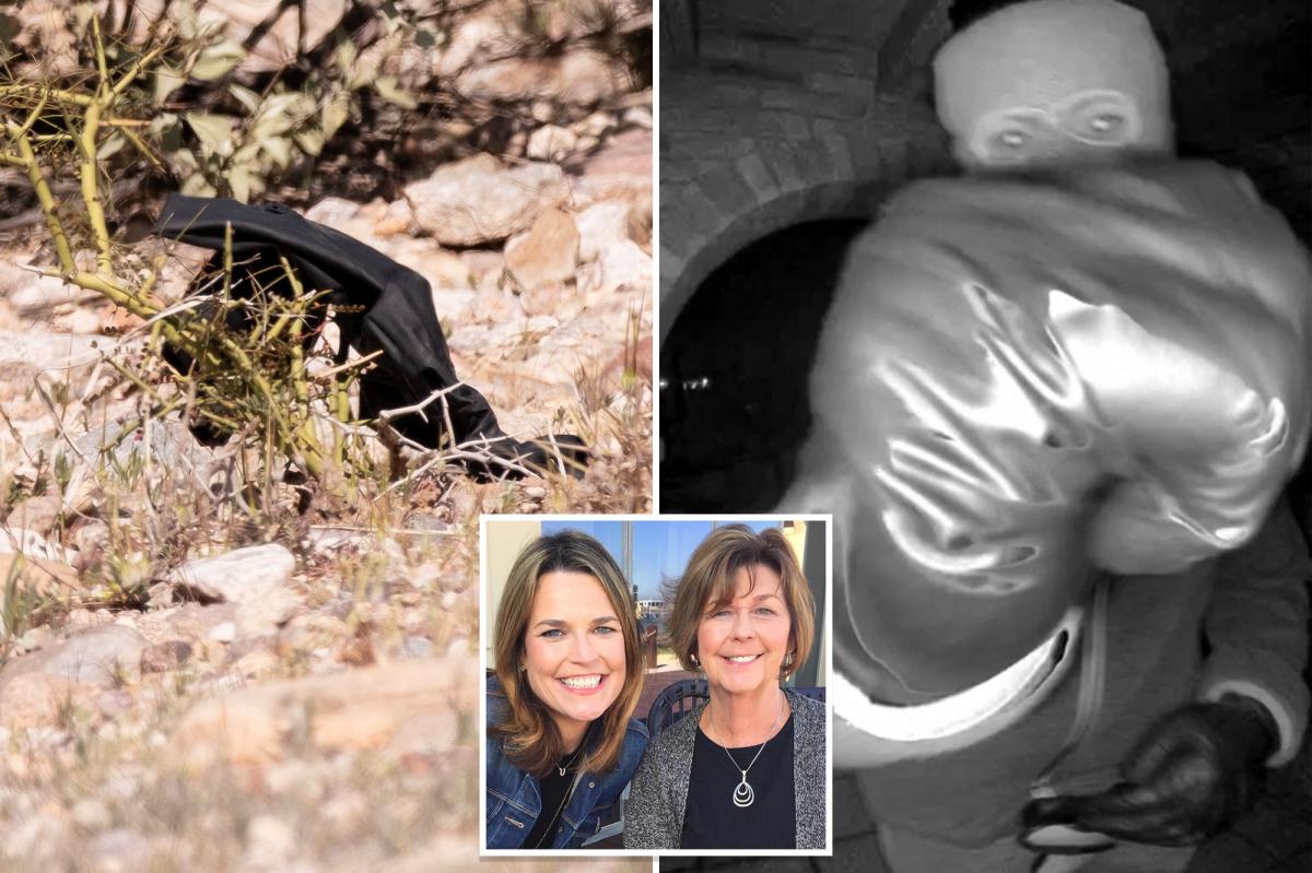 Investigators find black glove during hunt for Nancy Guthrie's kidnappers — and The Post was there