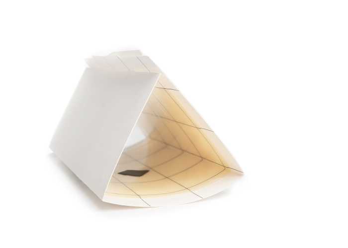 picture of a glue trap